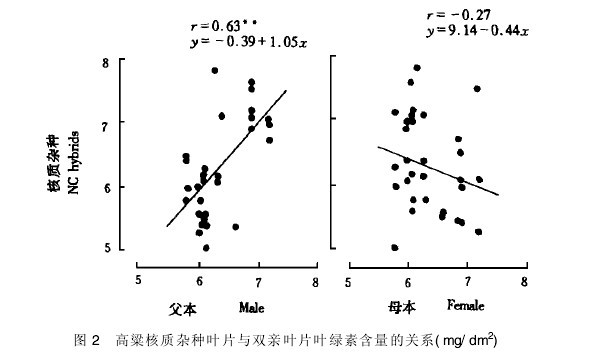 �D2���������|(zh��)�s�N�~Ƭ�c�p�H�~Ƭ�~�G�غ������P(gu��n)ϵ