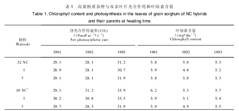 ��1���������|(zh��)�s�N�c�p�H�~Ƭ������ú��~�G�غ���