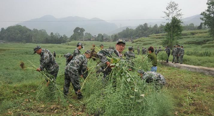 �ٱ������ܞ�(z��i)Ⱥ���ո��Ͳ���